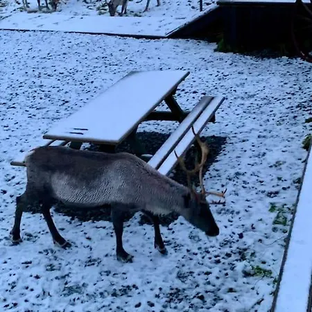 Big In Lyngen Fjords Ferienhaus Jægervatnet