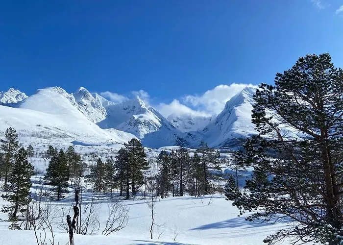 Tatil Evi Big In Lyngen Fjords Jægervatnet