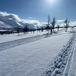 Big In Lyngen Fjords *